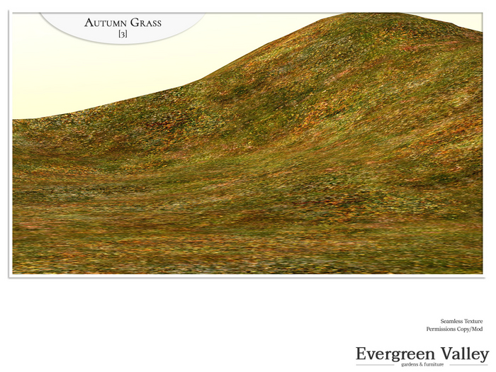 Autumn Grass [3] Seamless Texture