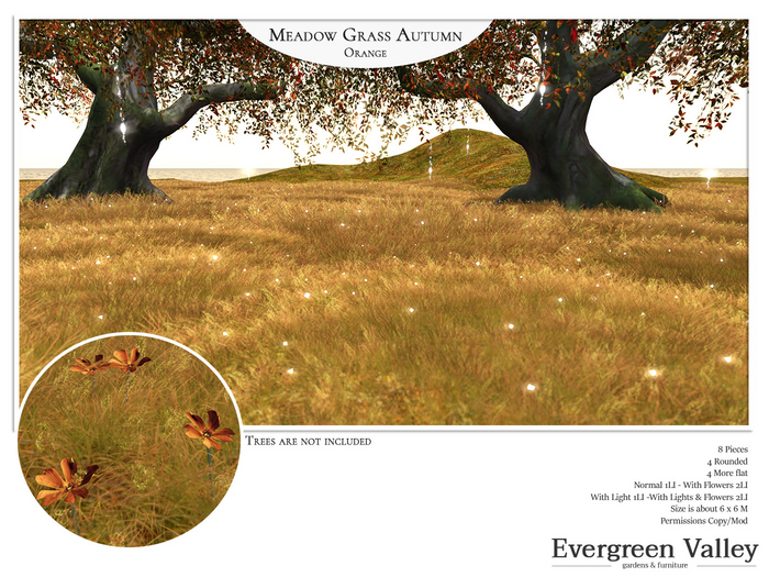 Meadow Grass Autumn Orange