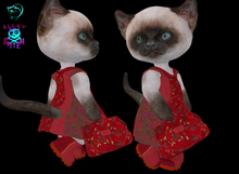 Dinkies-INDIAN SUMMER- Red Garden Set