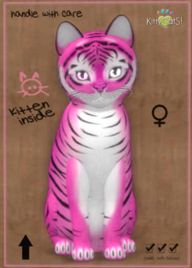 KittyCatS Box -♀ New Born Kitten (8 Traits)