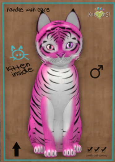 KittyCatS Box -♂ New Born Kitten (8 Traits)