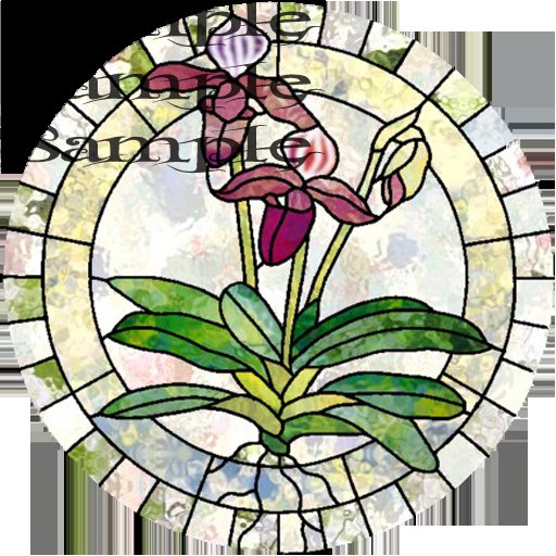 Stained Glass Texture  Paphpurpuratum
