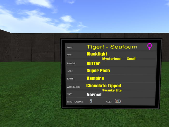 KittyCatS Box - New Born Kitten