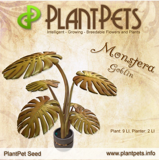 PlantPet Seed [Monstera *Goblin*]
