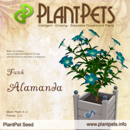 Plantpets Alamanda *Funk* Texture
