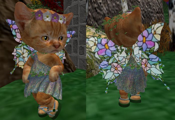 Dinkie Fairy