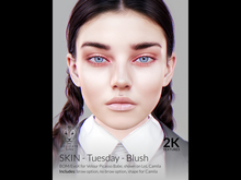 {DS} - Skin - Tuesday - NATURAL - Blush 2K