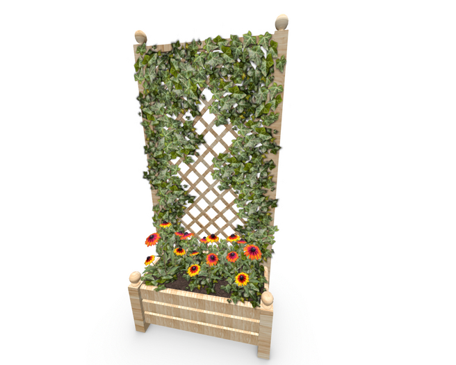 Trellis Planter Ivy and Orange Flowers