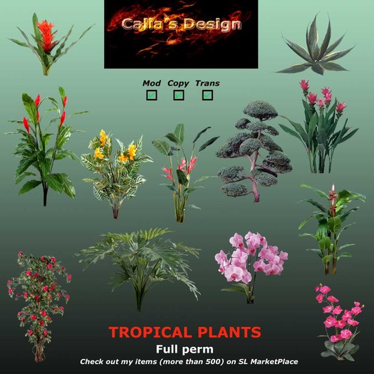 Tropical plants - Full perm