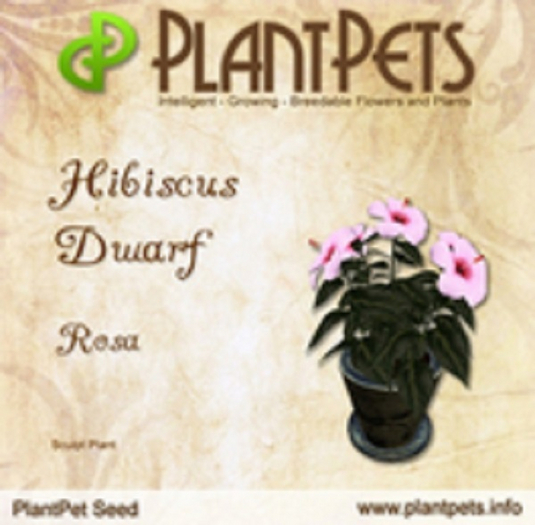 PlantPet Seed [Hibiscus Dwarf *Rosa*] RARE ELITE