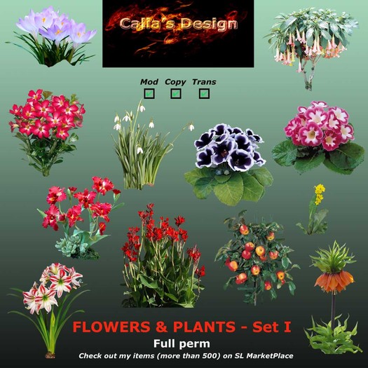 Plants & Flowers - Set I - Full perm
