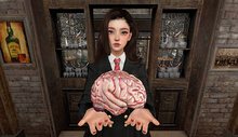 human organs - brain