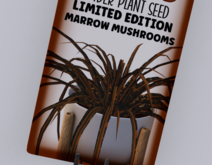 Potted: LE MARROW MUSHROOMS Breedable Spider Plant Seed
