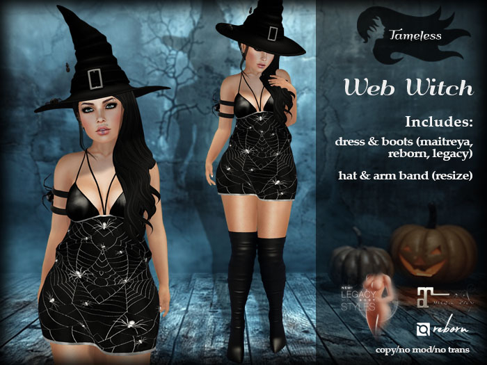 Tameless Web Witch - Halloween Costume Goth