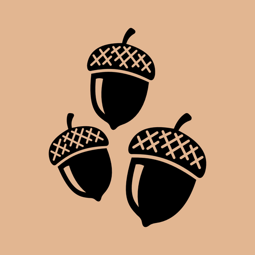 Body Sticker Pack - ACORNS
