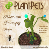 PlantPet Seed [Adenium Trumpet *Aqua*]