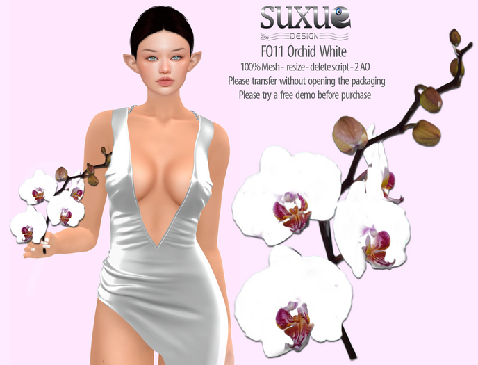 Flower Orchid White DEMO