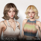 WINGS-HAIR-TF0808 Grays & Browns (Pack)