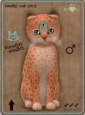 KittyCatS Box - Cheetah! - Tangerine No. 2 Male