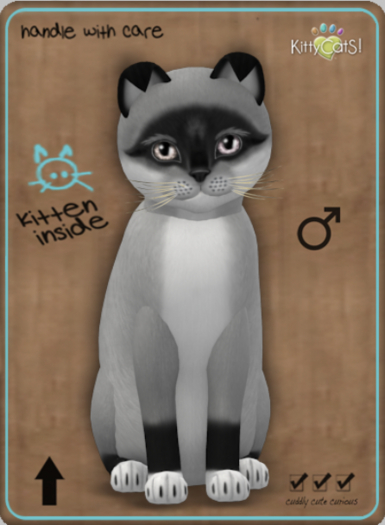 KittyCatS Box - Foxie - Salt & Pepper Mask Male