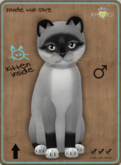 KittyCatS Box - Foxie - Salt & Pepper Mask Male