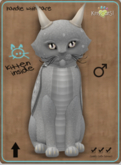 KittyCatS Box - Darling DragonS! - Soulful Male