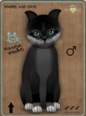 KittyCatS Box - Foxie - Soft Black Male