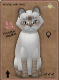 KittyCatS Box - Balinese - Chocolate Lynx Female