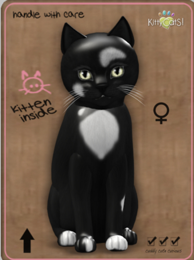 KittyCatS Box - Genesis - Domino II Female