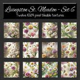 *Wallflowers* Livingston St. Meadow - Set 6