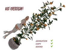KS Design: Climbing roses and canaries (anim\sound) #2