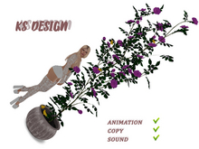KS Design: Climbing roses and canaries (anim\sound) #5