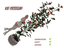 KS Design: Climbing roses and canaries (anim\sound) #6
