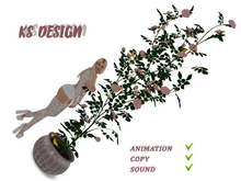 KS Design: Climbing roses and canaries (anim\sound) #7