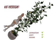 KS Design: Climbing roses and canaries (anim\sound) #8
