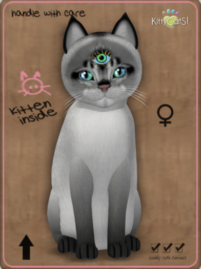 KittyCatS Box - Abyssinian - Salt & Pepper Female