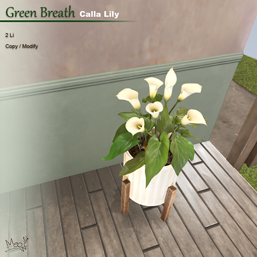 MMM-Green Breath-Calla Lily(add)