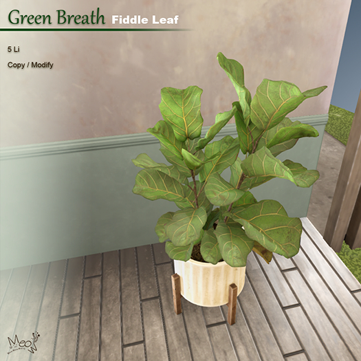MMM-Green Breath-Fiddle Leaf(add)