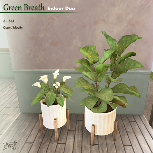MMM-Green Breath-Indoor Duo(add)