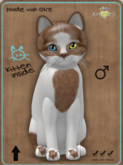KittyCatS Box - Genesis - Flame II Teacup Male