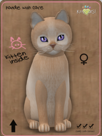 KittyCatS Box - Pandie - Flame Female