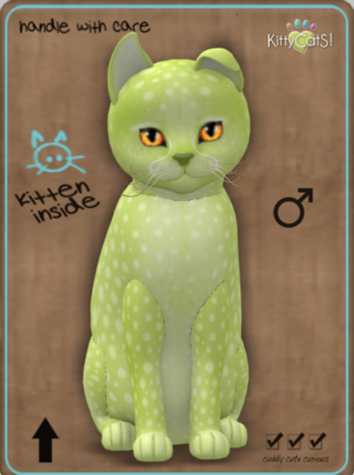 KittyCatS Box - Cheetah! - Lime Male