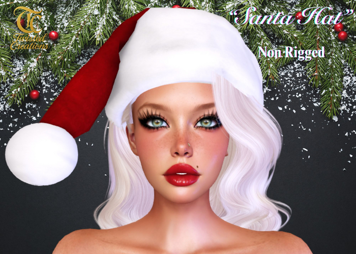 TC - Unisex Santa Hat Red