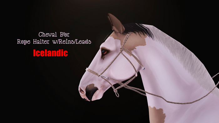 Cheval D'or / TeeglePet Icelandic / Rope Halter. [HUD]