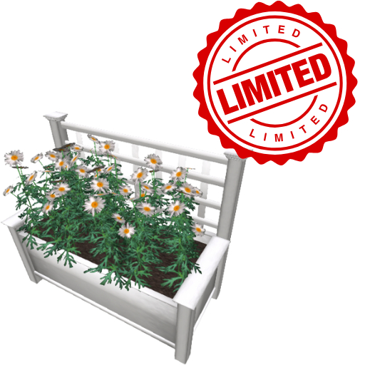 Arbor Planter Daisies