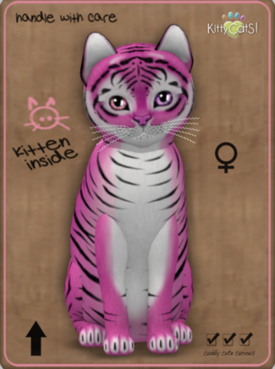 KittyCatS Box - Tiger! - BubbleGum Female