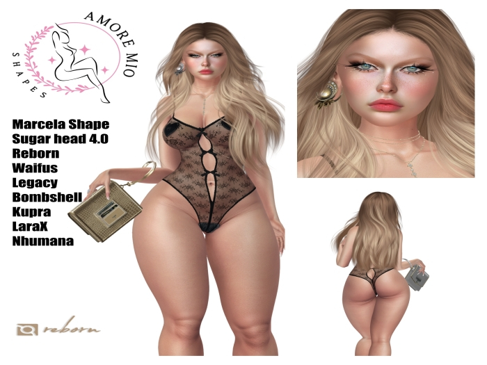 XA-Marcela shape-Sugar 4.0