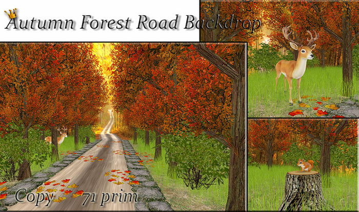 Autumn forest road background (Backdrop)
