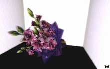 Nabi Gladiolus bouquet- NO Copy YES Transfer