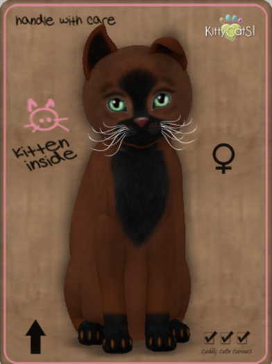 KittyCatS Box - Faux Puff - Chestnut Female